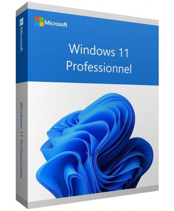 Microsoft Windows 11 Professionnel (Professional)