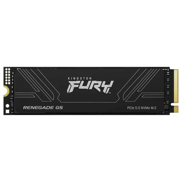 Kingston FURY Renegade G5 1 To