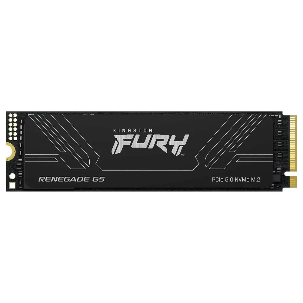 Kingston FURY Renegade G5 1 To